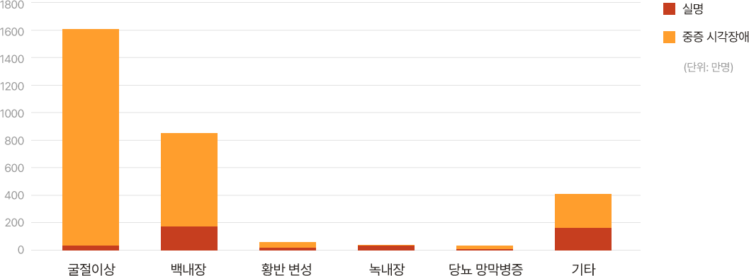 실명인구 통계